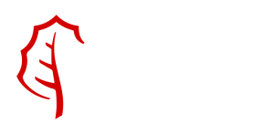 acciona